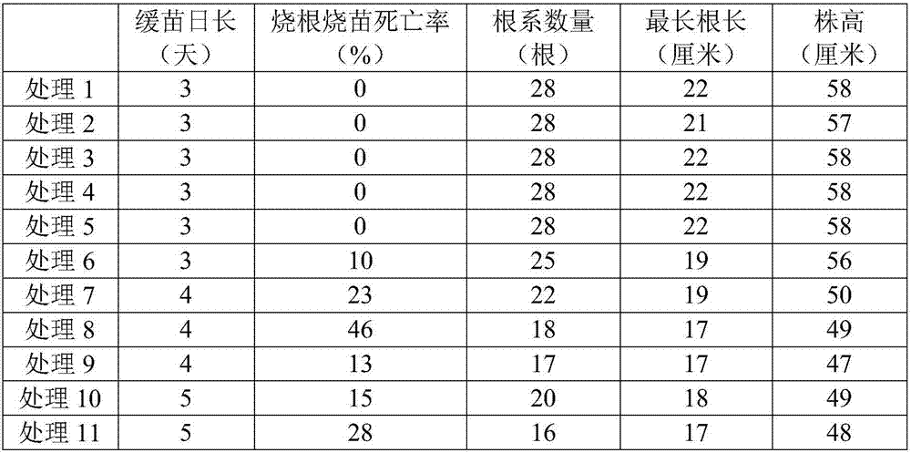 One-time special fertilizer for paddy rice and corn in southwest regions, and applying method thereof