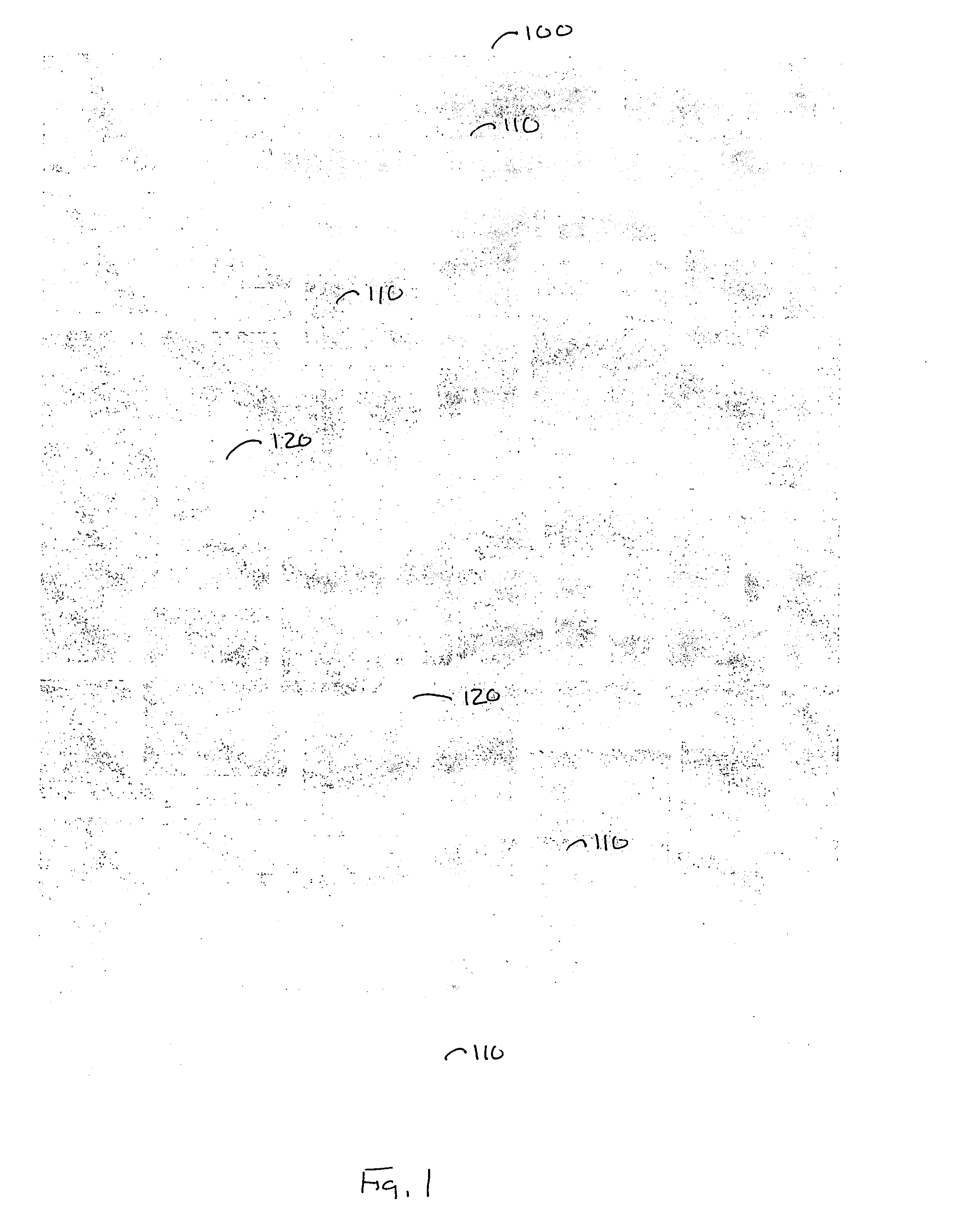 Carpet and method of making same