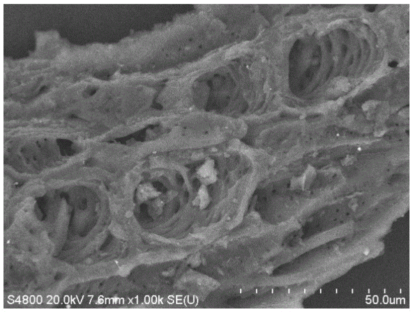 Preparation method and application of nanometer zero-valent ion composite material