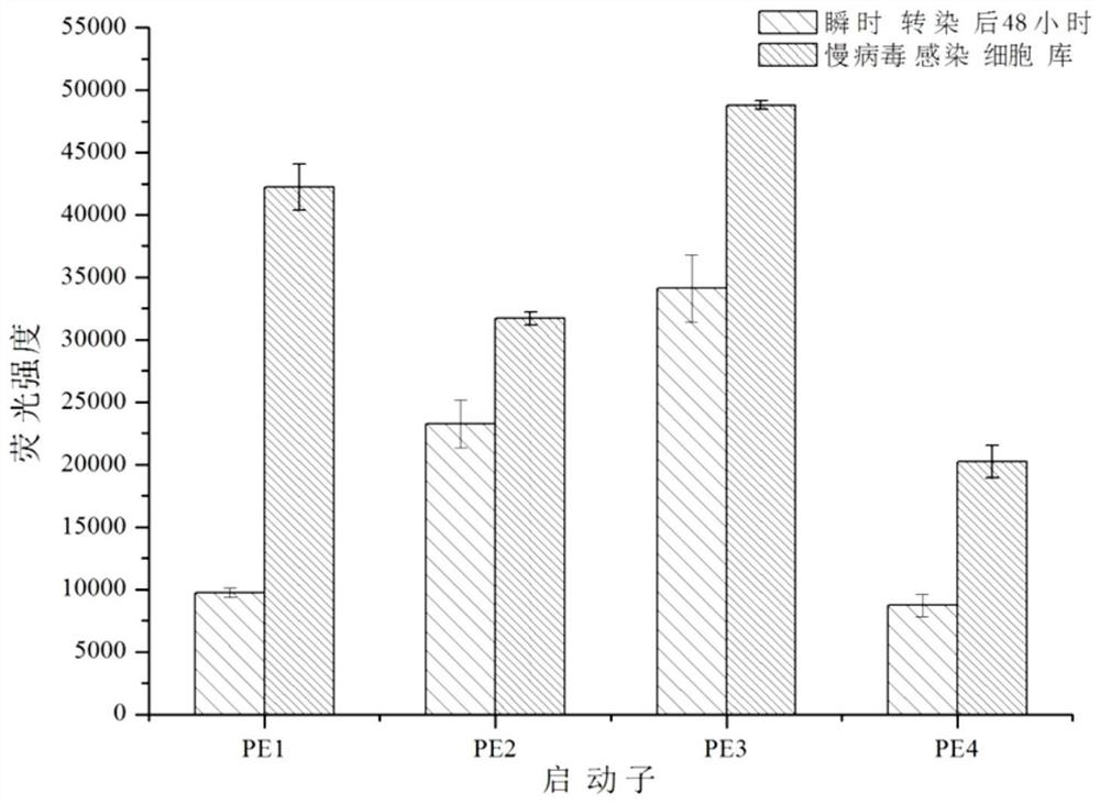 Application of Tet-off expression regulation system in cascade amplification of promoter activity