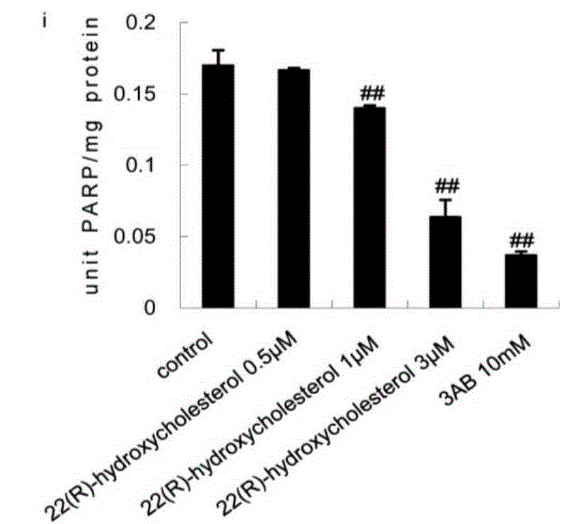 Application of 22 (R)-hydroxycholesterol as PARP1 inhibitor