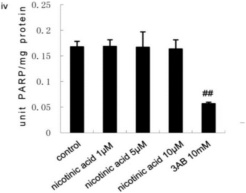 Application of 22 (R)-hydroxycholesterol as PARP1 inhibitor