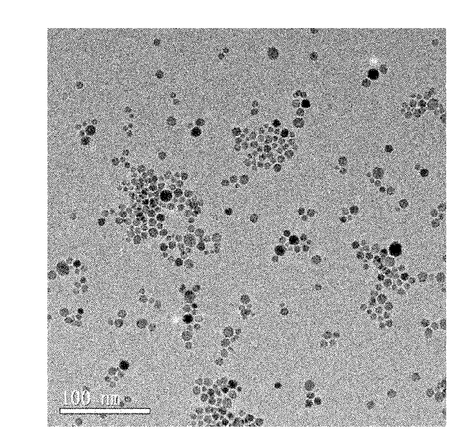 Ferroferric oxide-silicon dioxide-thymine nanoparticles and preparation method and application thereof