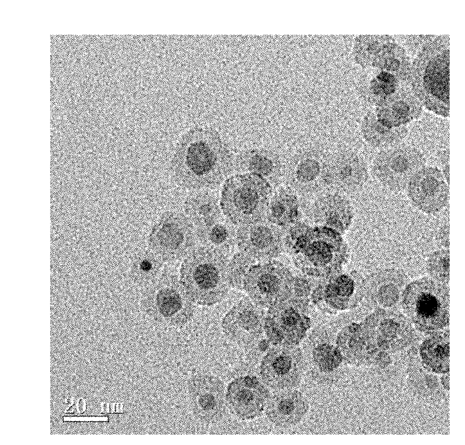 Ferroferric oxide-silicon dioxide-thymine nanoparticles and preparation method and application thereof