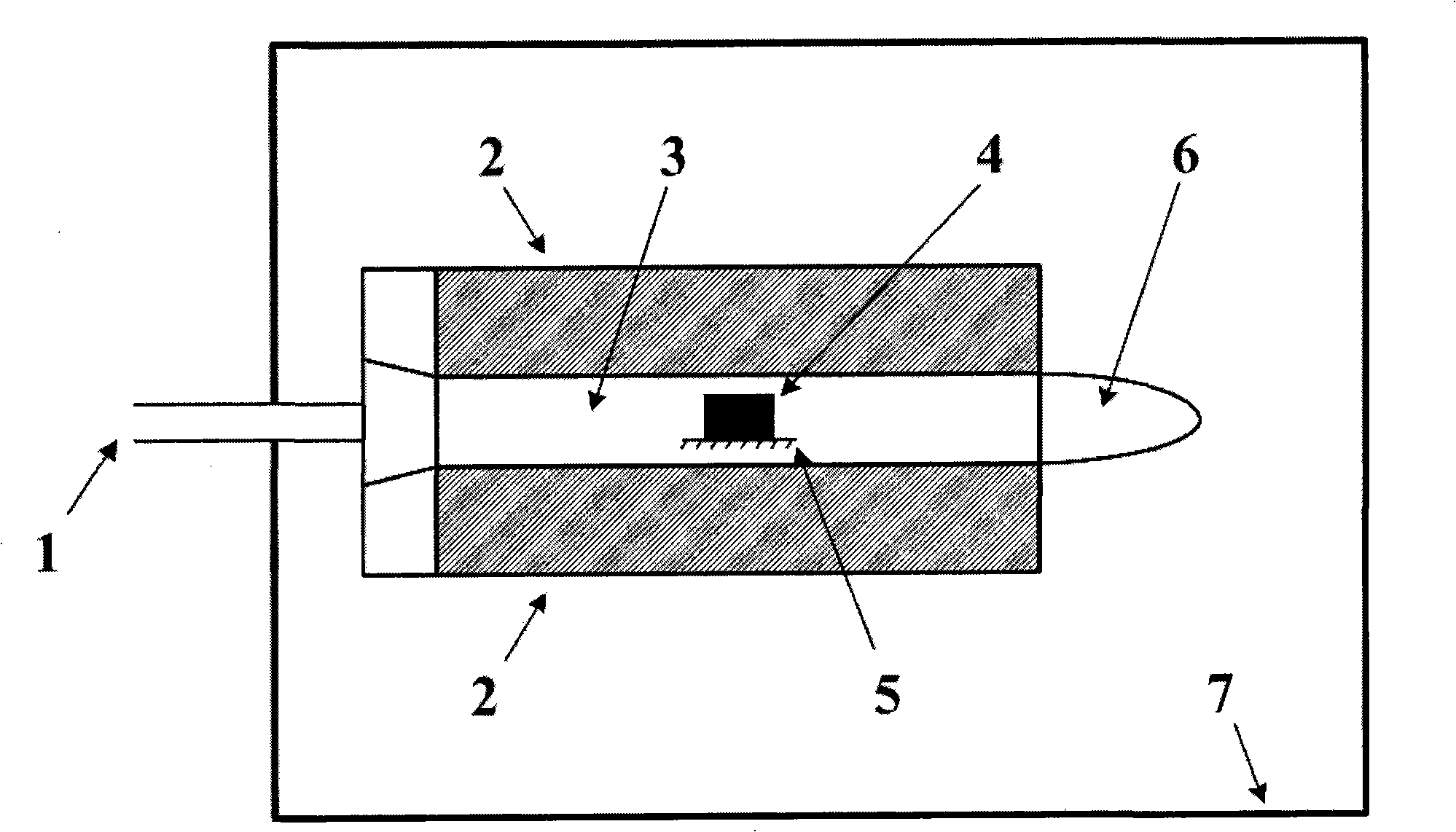 Atmosphere cold plasma disinfection method