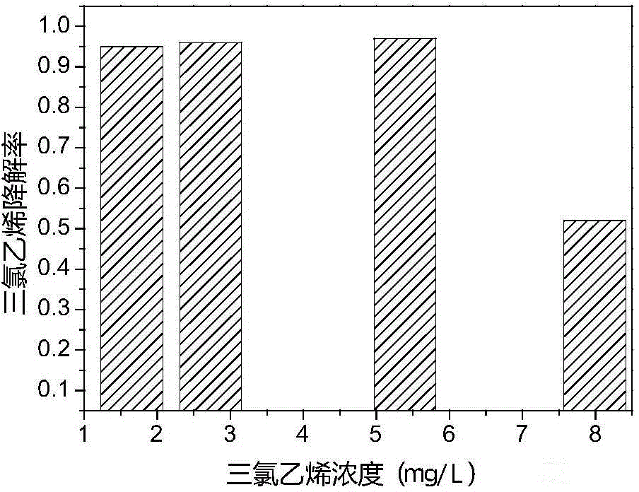 Complex microbial inoculant for degradation of chlorohydrocarbon and application thereof