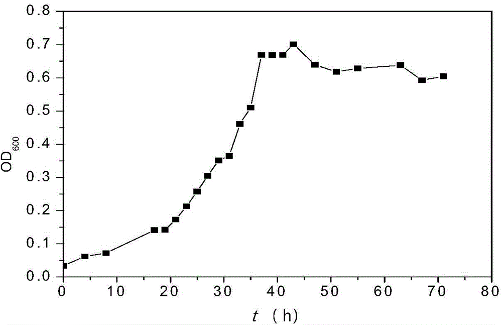 Complex microbial inoculant for degradation of chlorohydrocarbon and application thereof