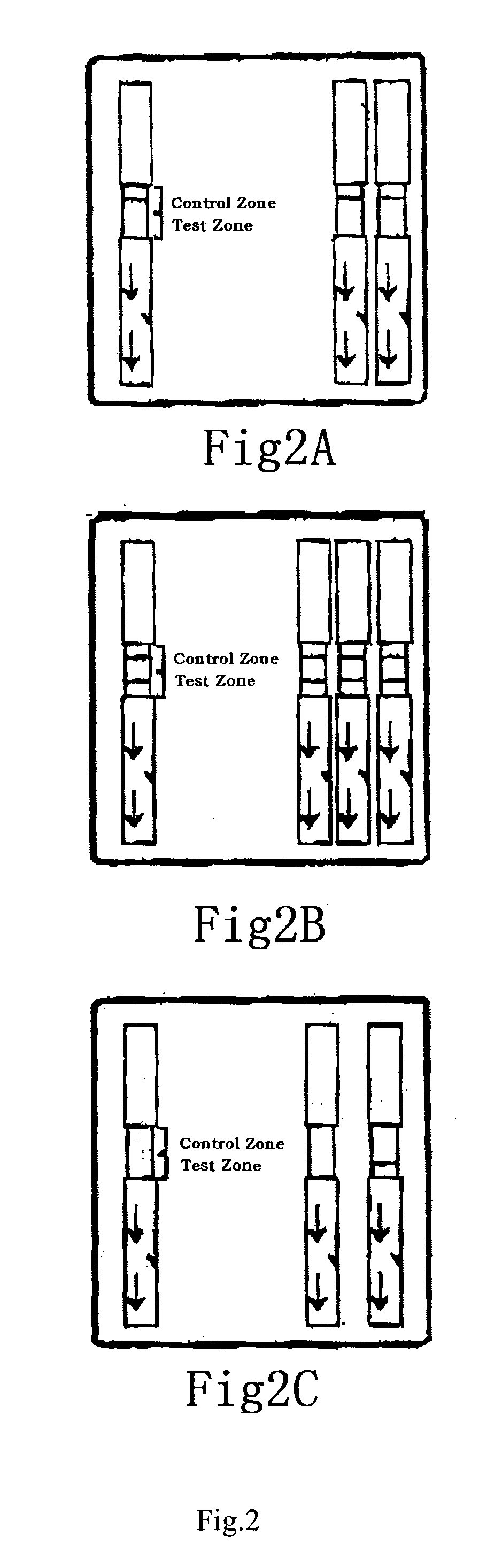 Oral fluid rapid immunochromatography test