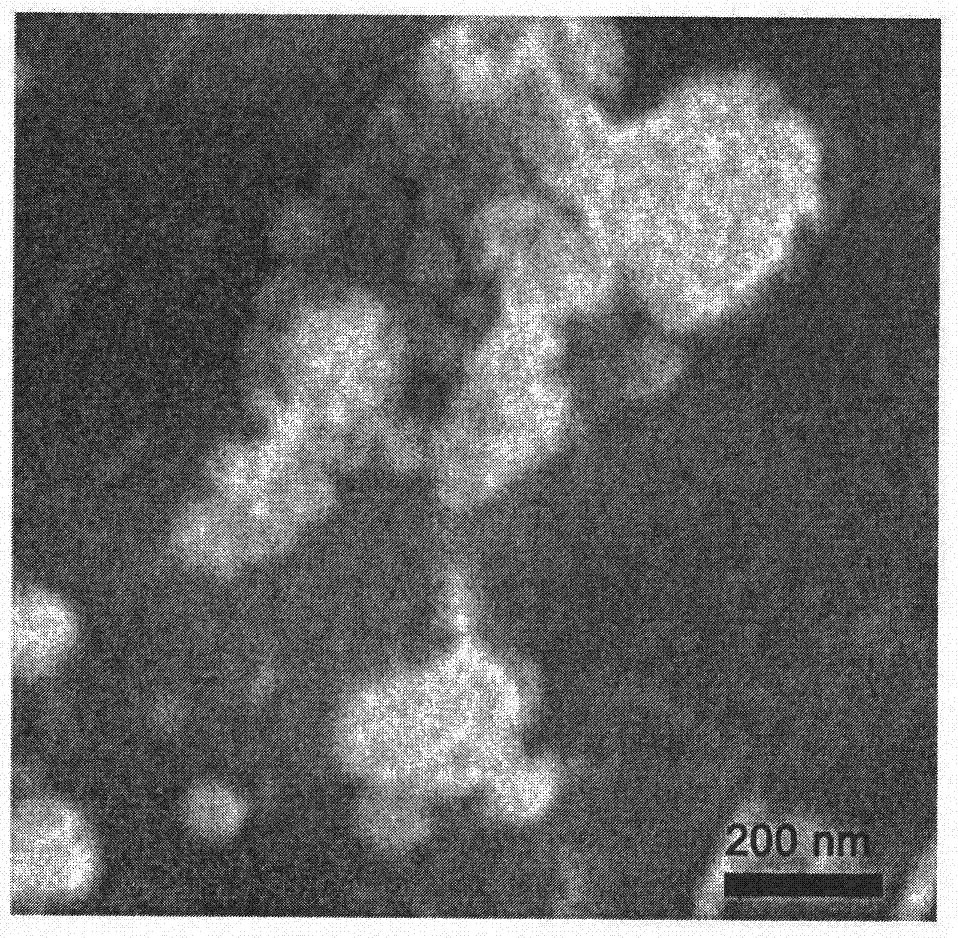 A multifunctional nanometer drug carrier, a taxol type lipid nanoparticle and a preparing method of the nanoparticle