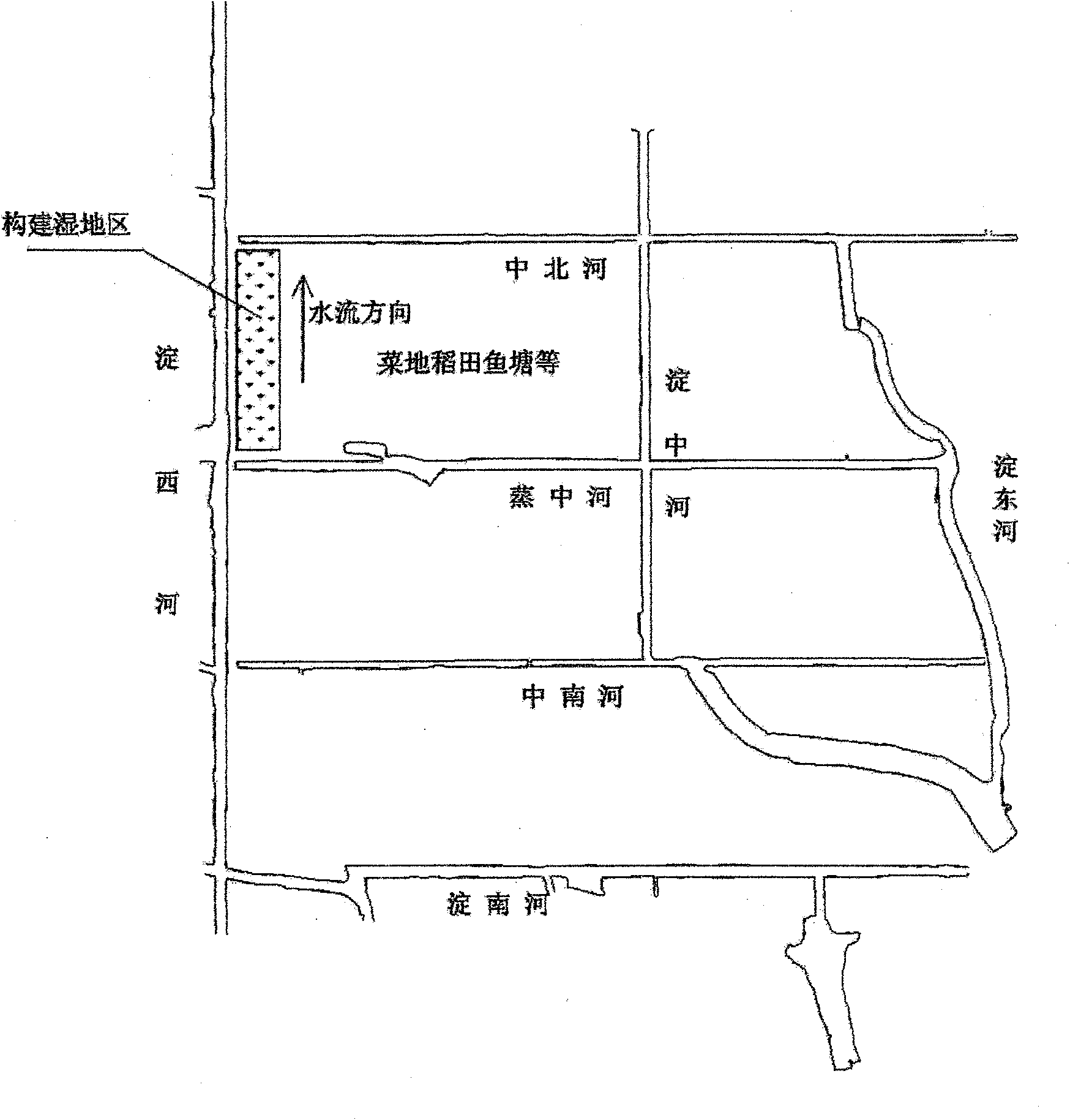 Compound type constructed wetland system