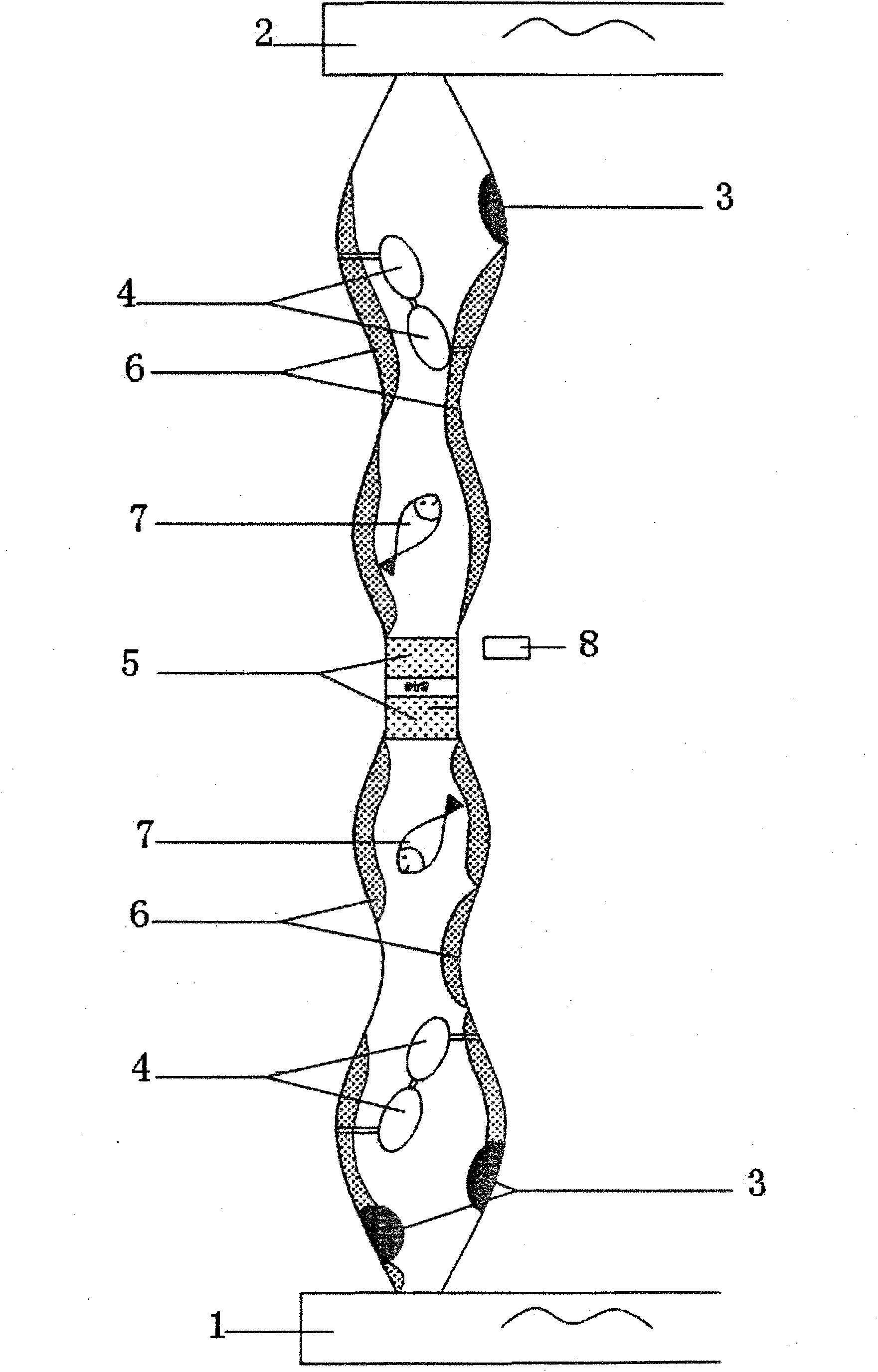 Compound type constructed wetland system