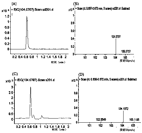 A strain of Lactobacillus plantarum sg5 producing γ-aminobutyric acid