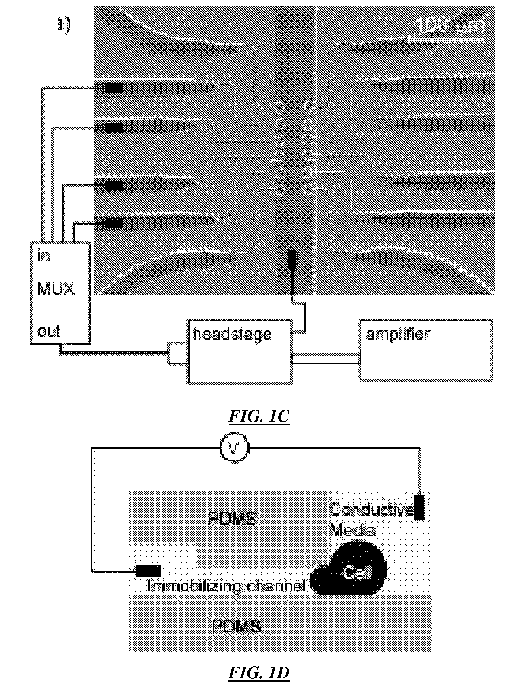 Method and apparatus for integrated cell handling and measurements