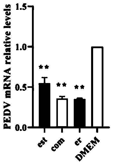 Research method for restraining porcine epidemic diarrhea virus infection based on integrin ligand recognition peptides