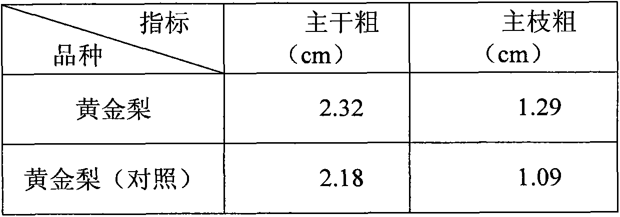 Reshaping and cultivating method of pear tree with single trunk and two main branches