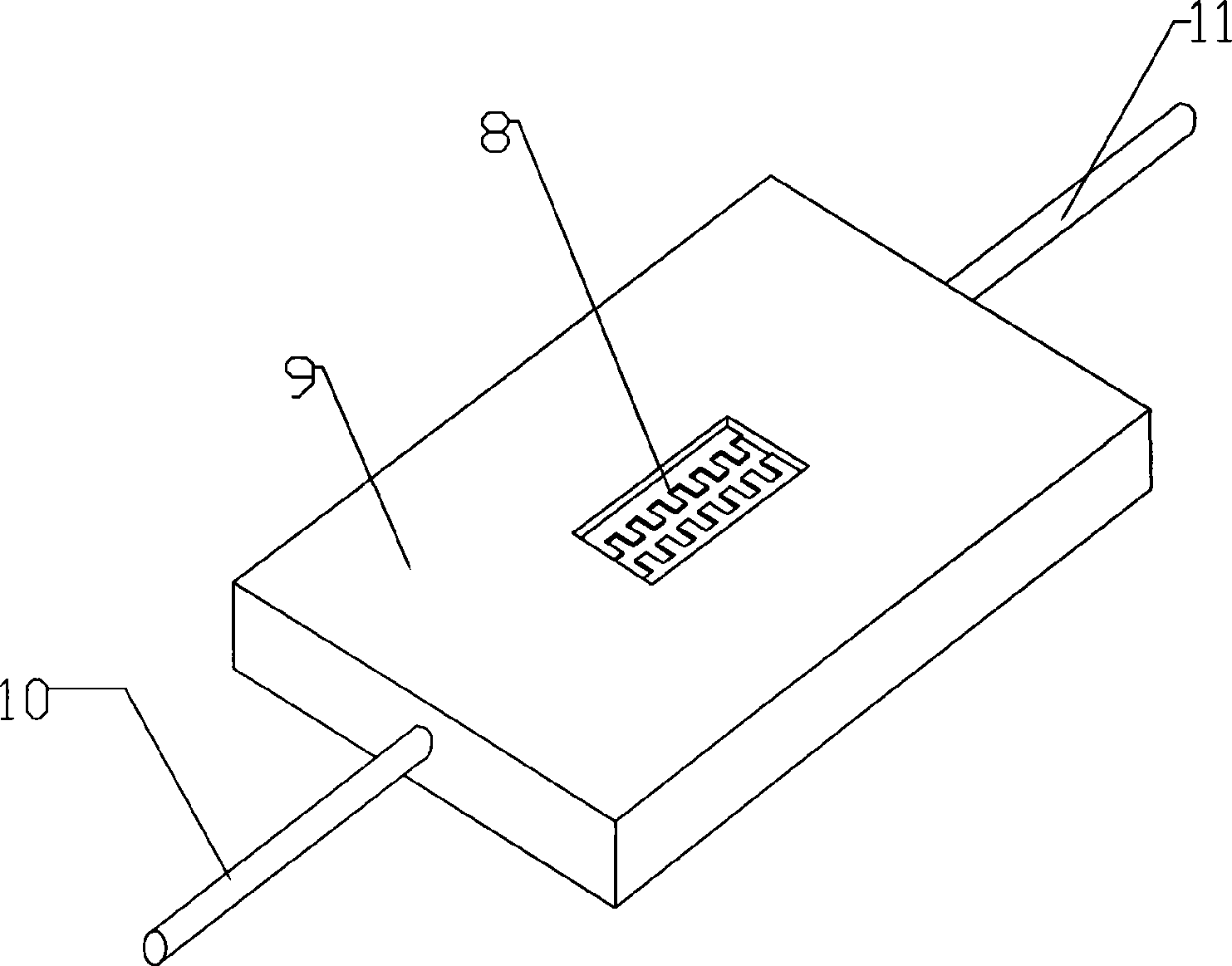 Cell electrofusion chip and method for manufacturing the same