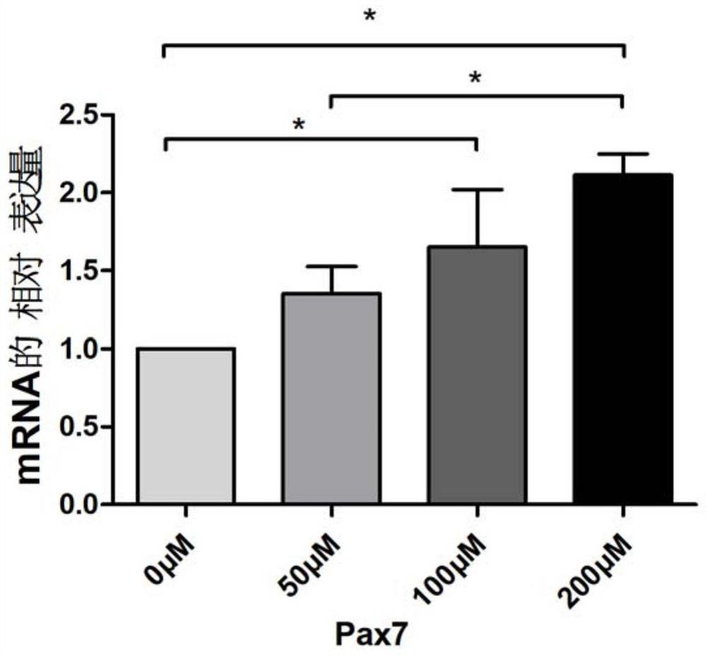 Improved culture medium for short-term proliferation of cultured meat seed cells