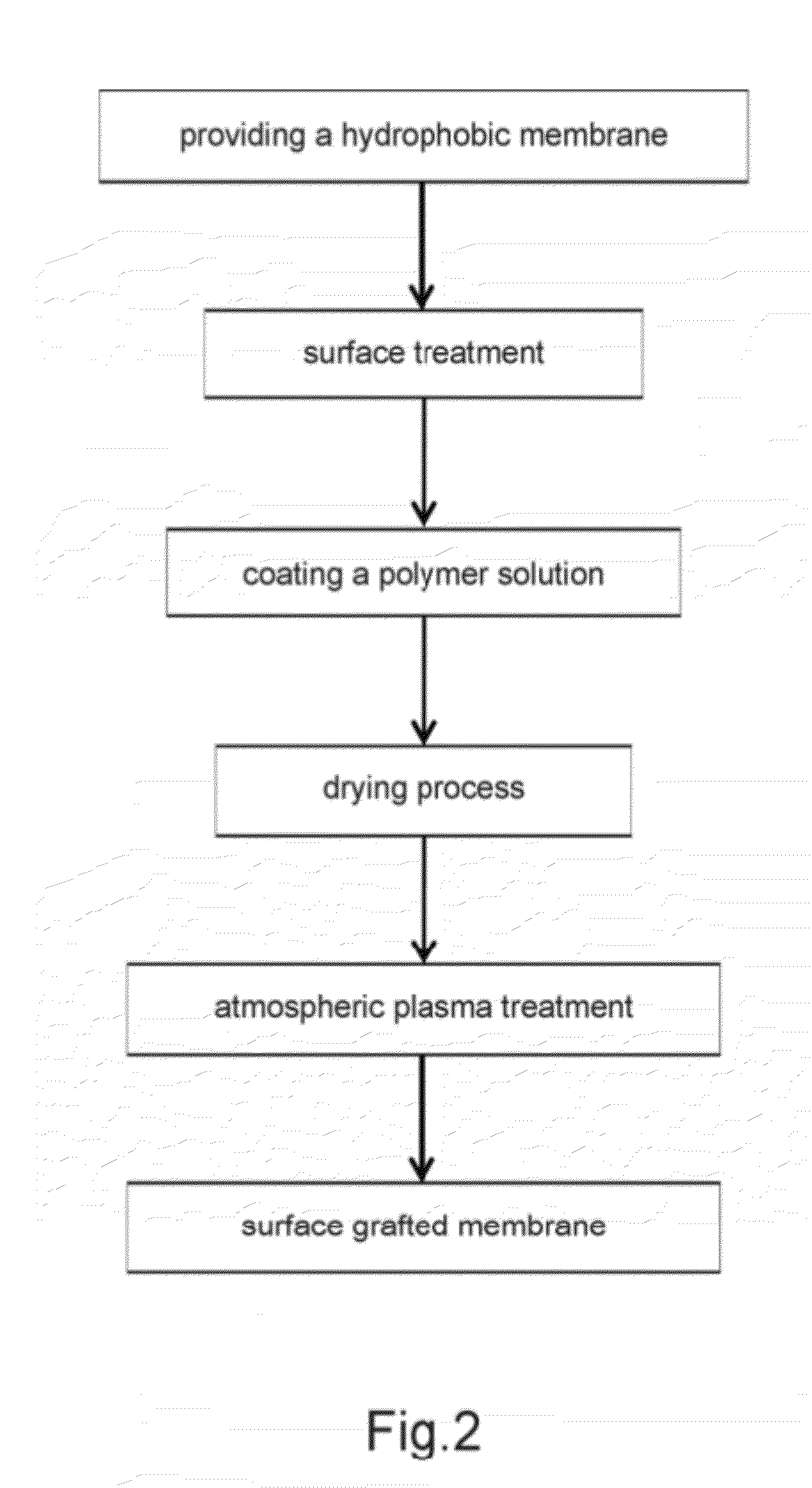 Wound healing material and method for fabricating the same