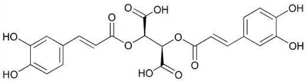 Medicinal application of chicoric acid