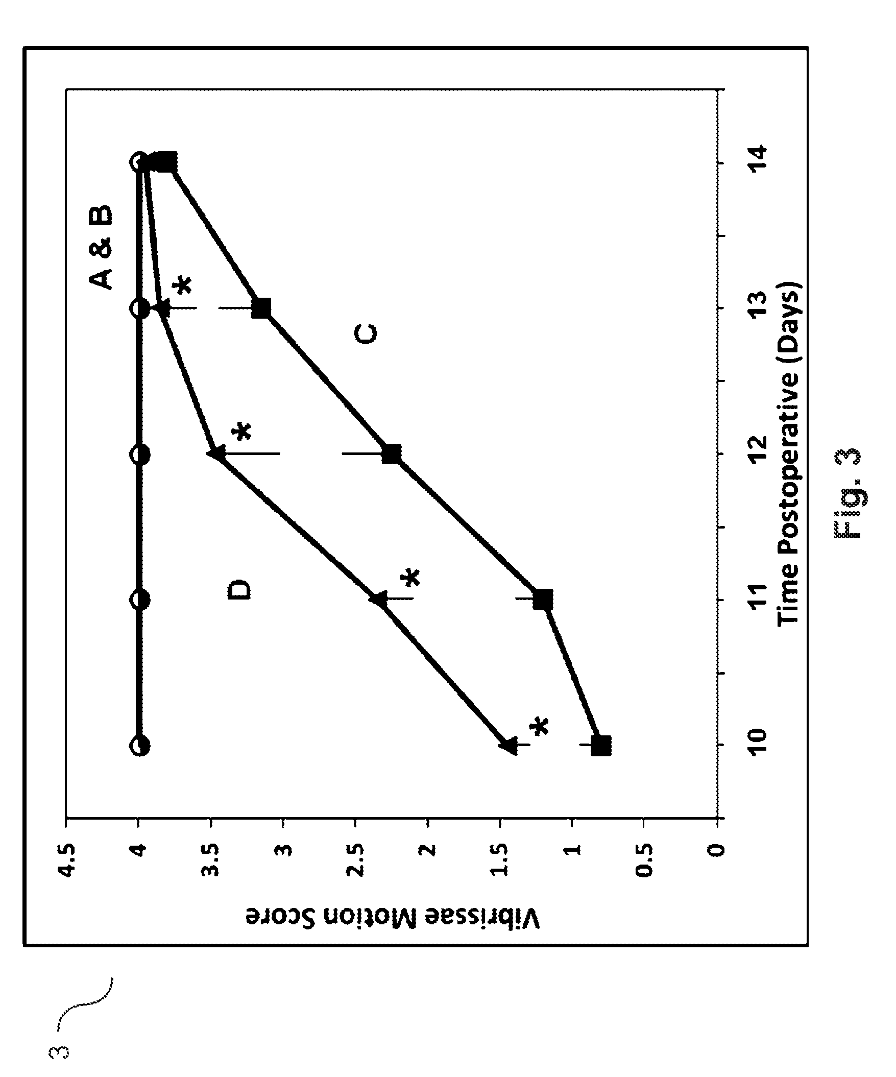 Agmatine containing dietary supplements, nutraceuticals, and foods