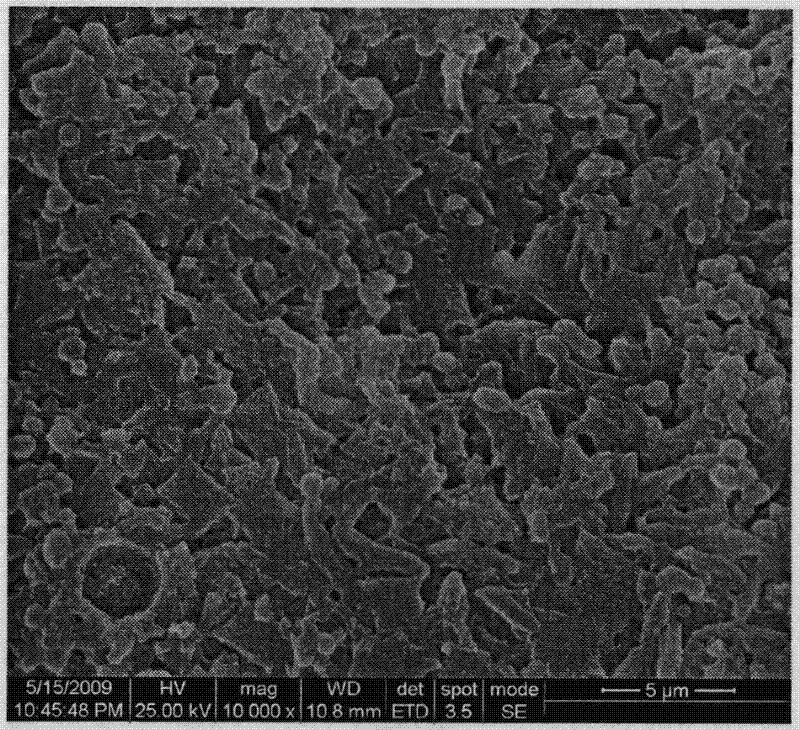 Preparation method of porous super hydrophobic polypropylene film