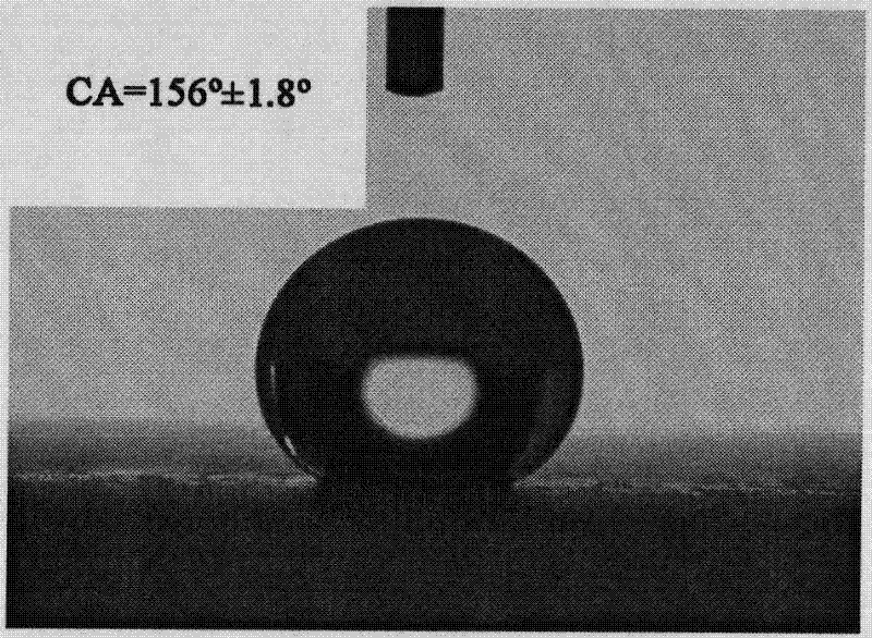 Preparation method of porous super hydrophobic polypropylene film