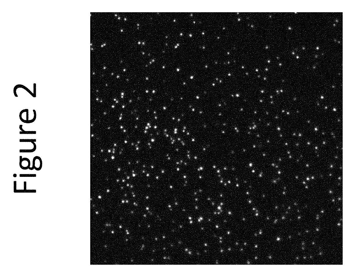 Enhanced loading of intact, bacterially derived vesicles with small molecule compounds