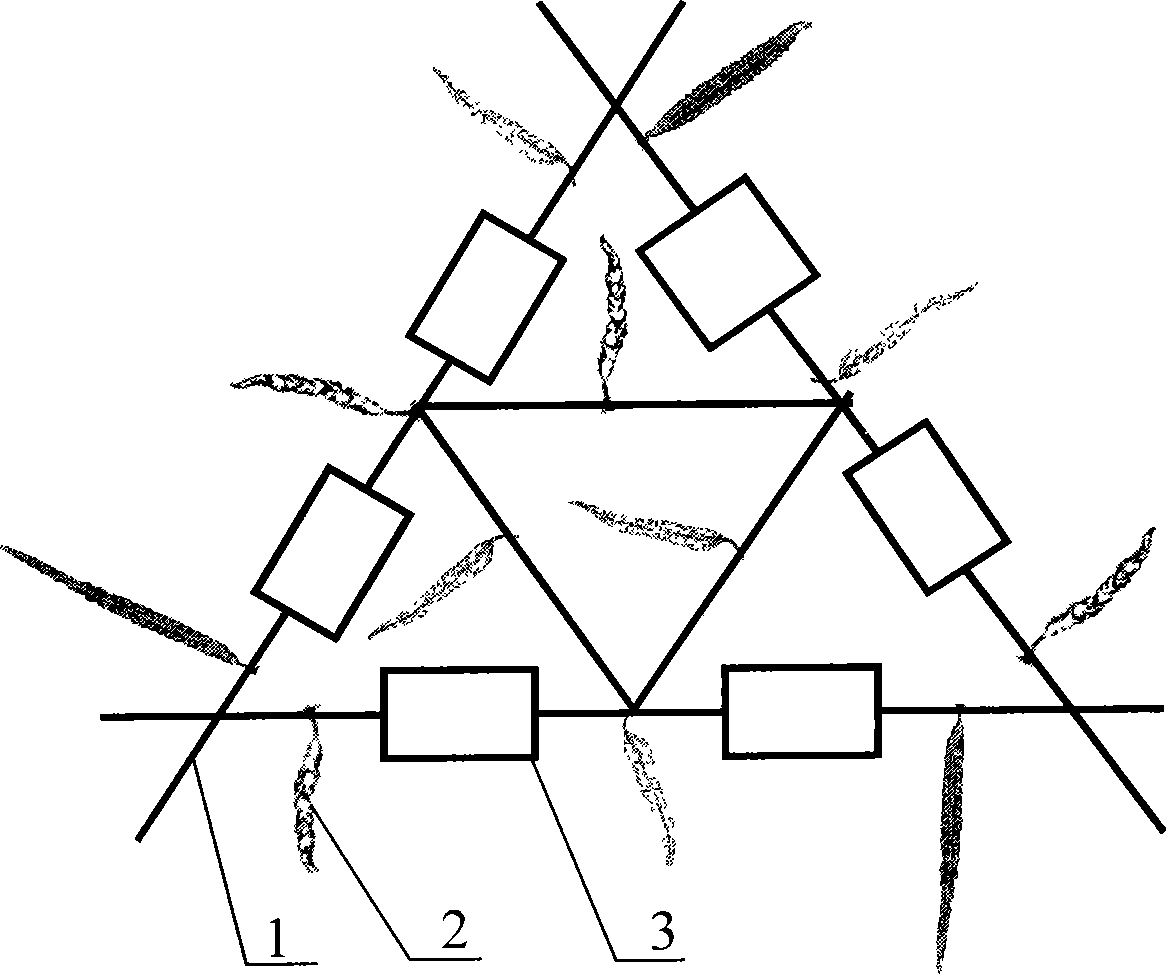 Artificial algae field and construction method thereof