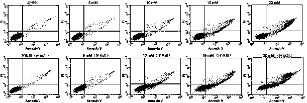 Metabolic enzyme-hydrogel system for drug metabolism, efficacy and toxicity evaluation