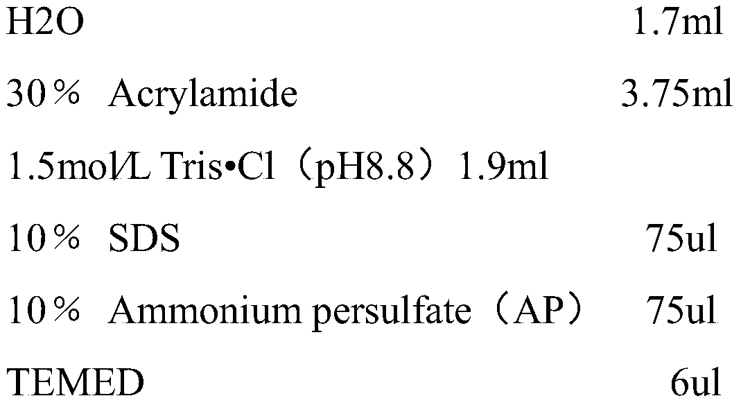 A kind of artificial protein with characteristics of Vibrio cholerae toxin a subunit and Staphylococcus aureus and its application