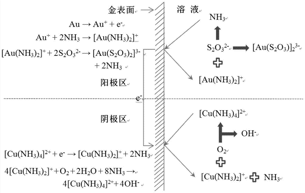 A kind of cobalt, the method for ammonia catalysis thiosulfate leaching gold