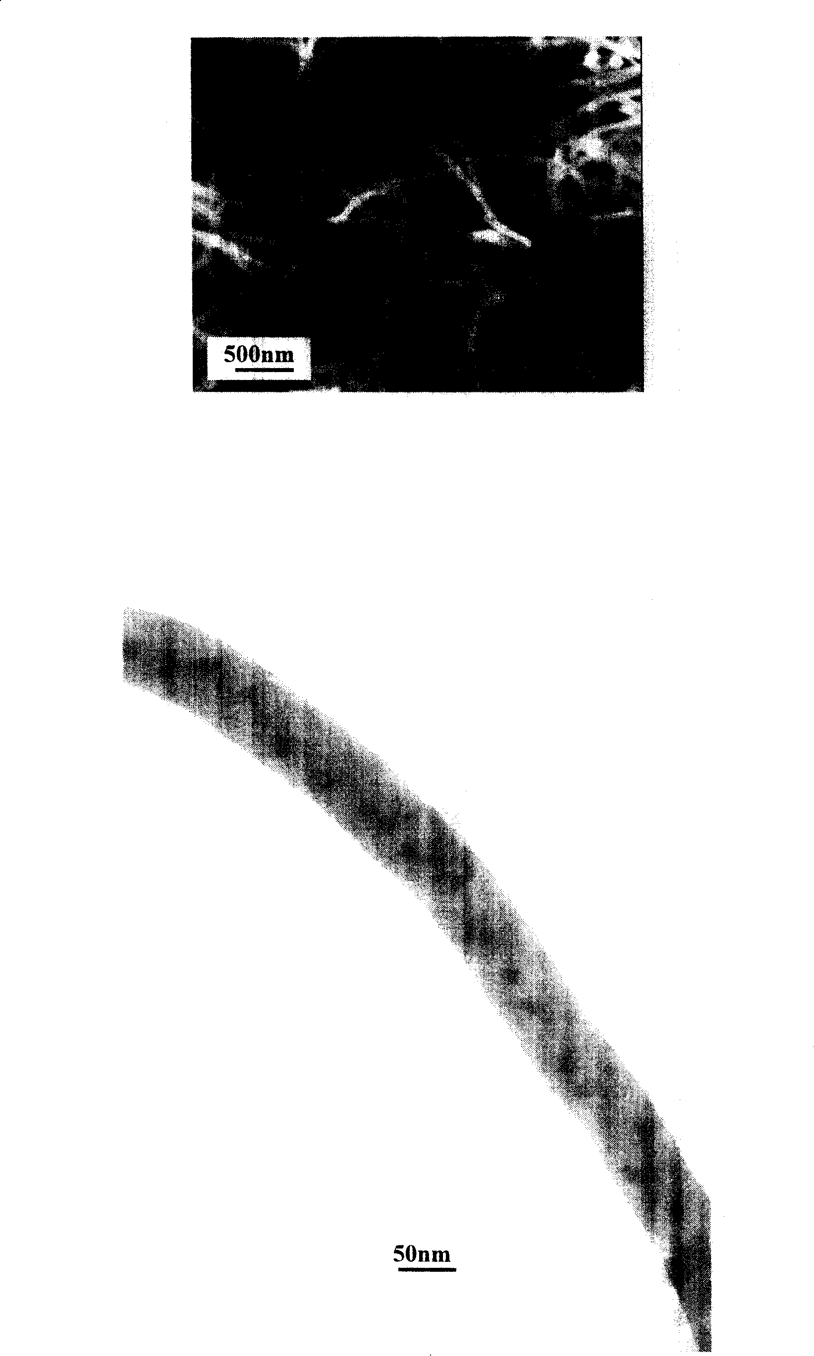 Method for preparing fishbone-shaped nano carbon fibre for filling nano metal