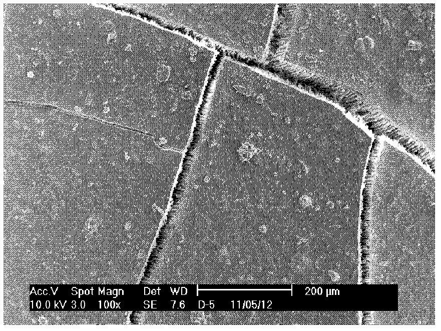 Industrial ultrafiltration membrane device pollutant online extraction and analysis method