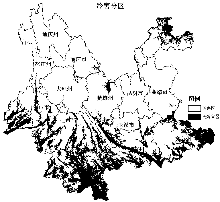 Paddy low-temperature cold disaster risk evaluation method