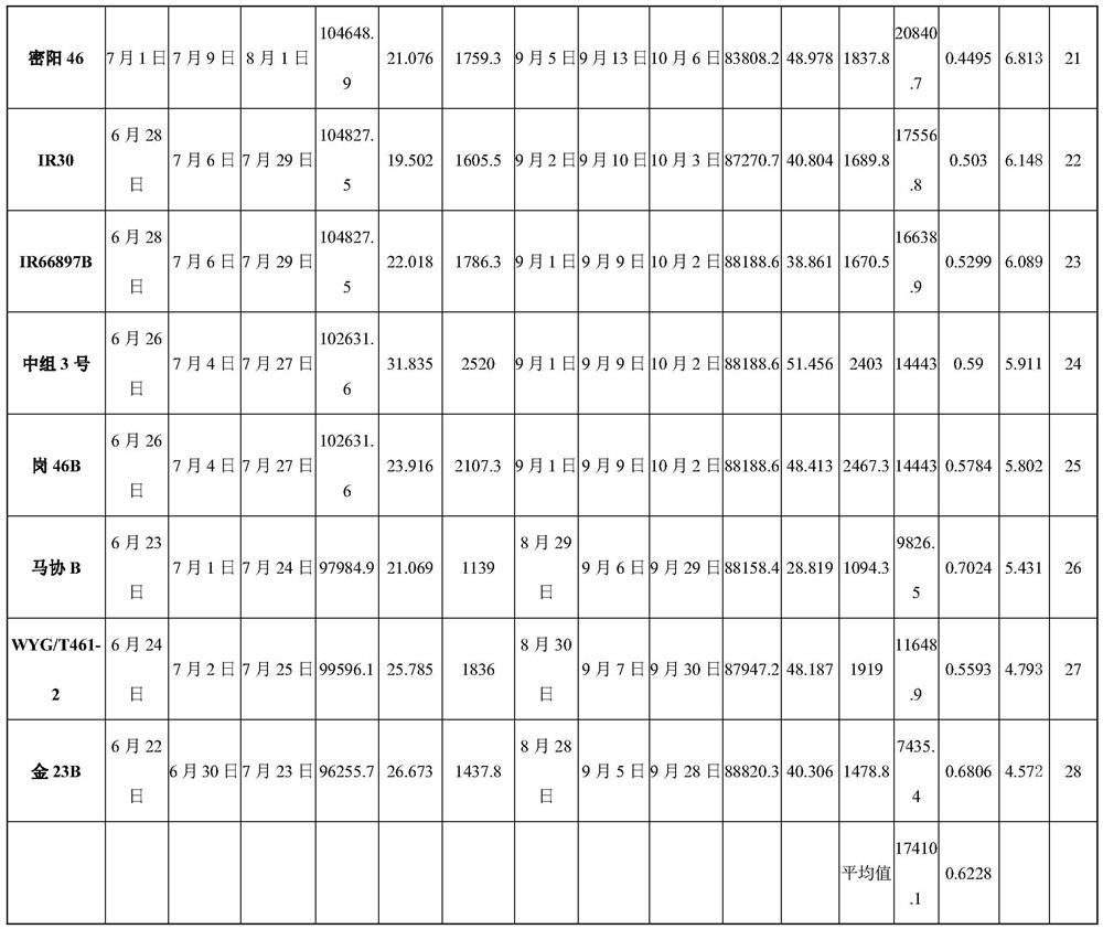 Quantification method for evaluating heat resistance of different genotypes of rice germplasms in filling period