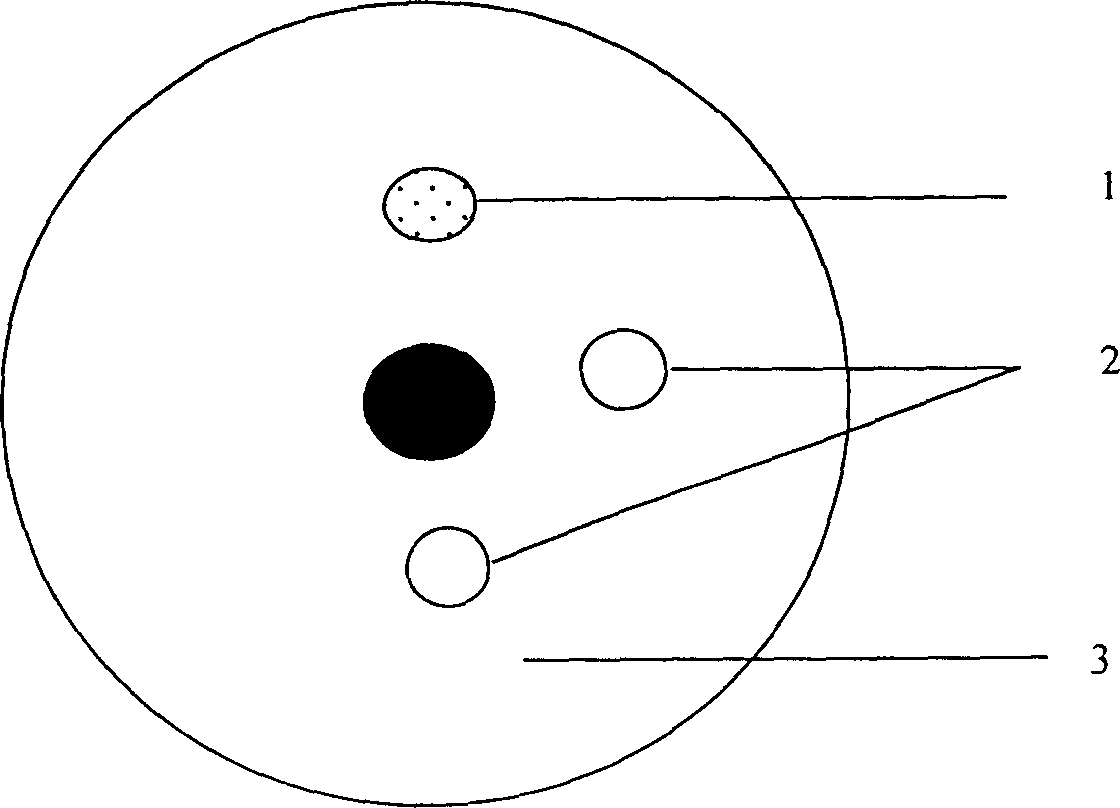 Nanometer track CD-enciphering method and CD made using said method