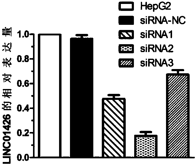 Applications of LINC01426 in hepatocellular carcinoma diagnosis and therapy