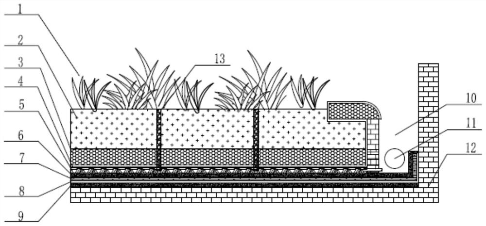 A green roof and rainwater purification coupling system for sponge city construction