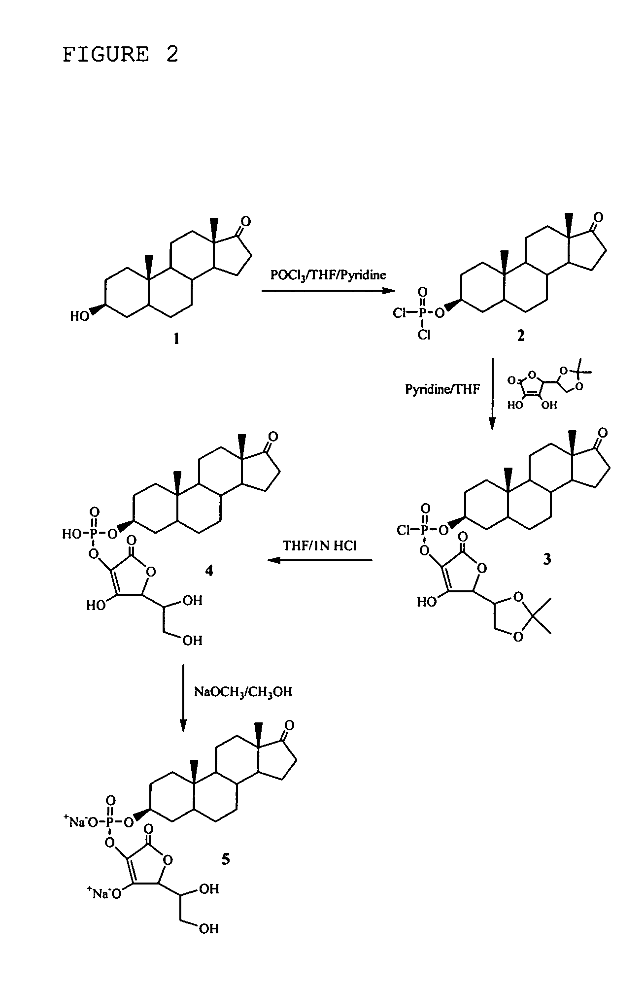 Compositions comprising one or more policosanols and/or policosanoic acids combined with sterol and/or steroid based ascorbic acid derivatives, and uses thereof