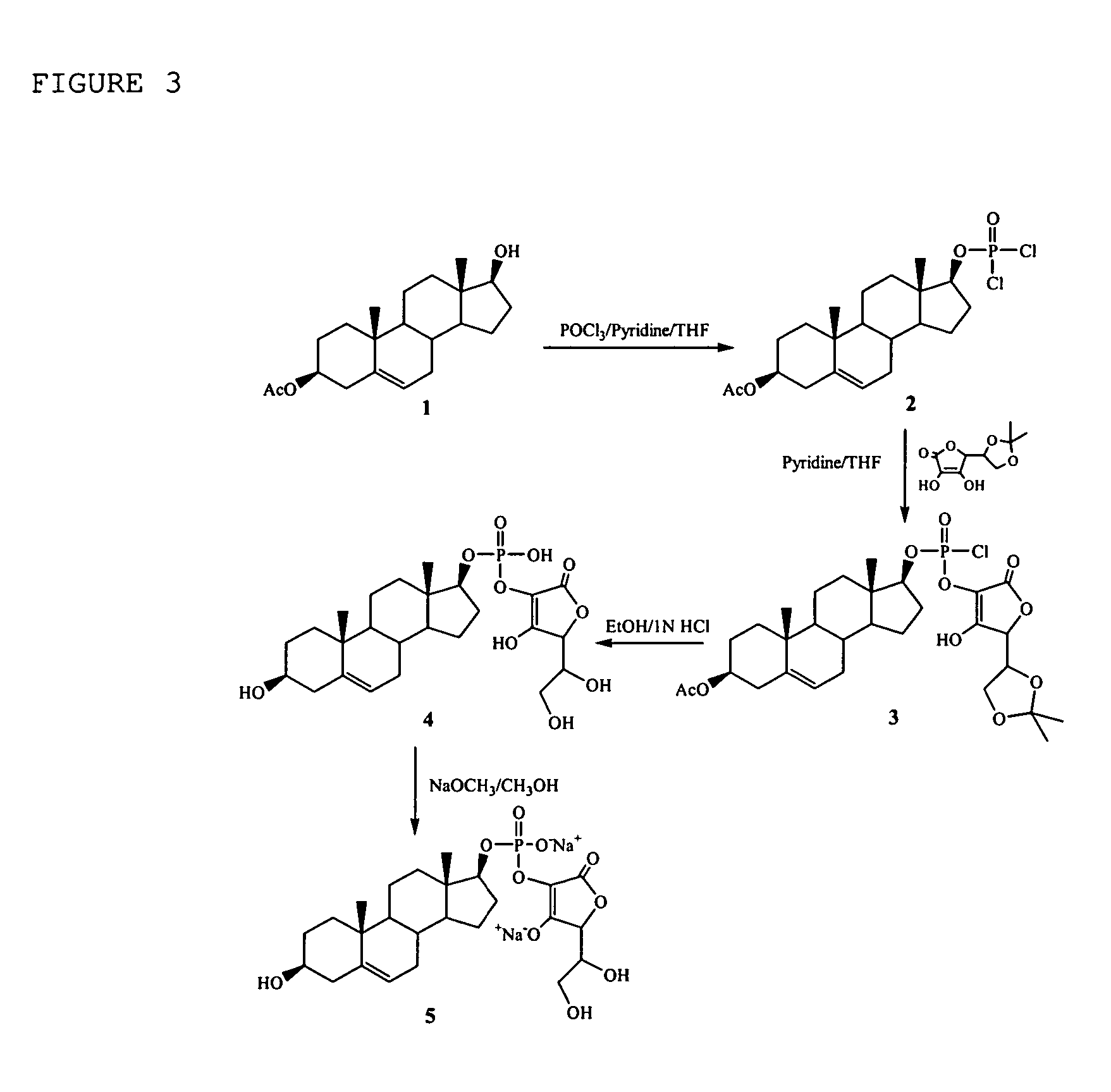 Compositions comprising one or more policosanols and/or policosanoic acids combined with sterol and/or steroid based ascorbic acid derivatives, and uses thereof