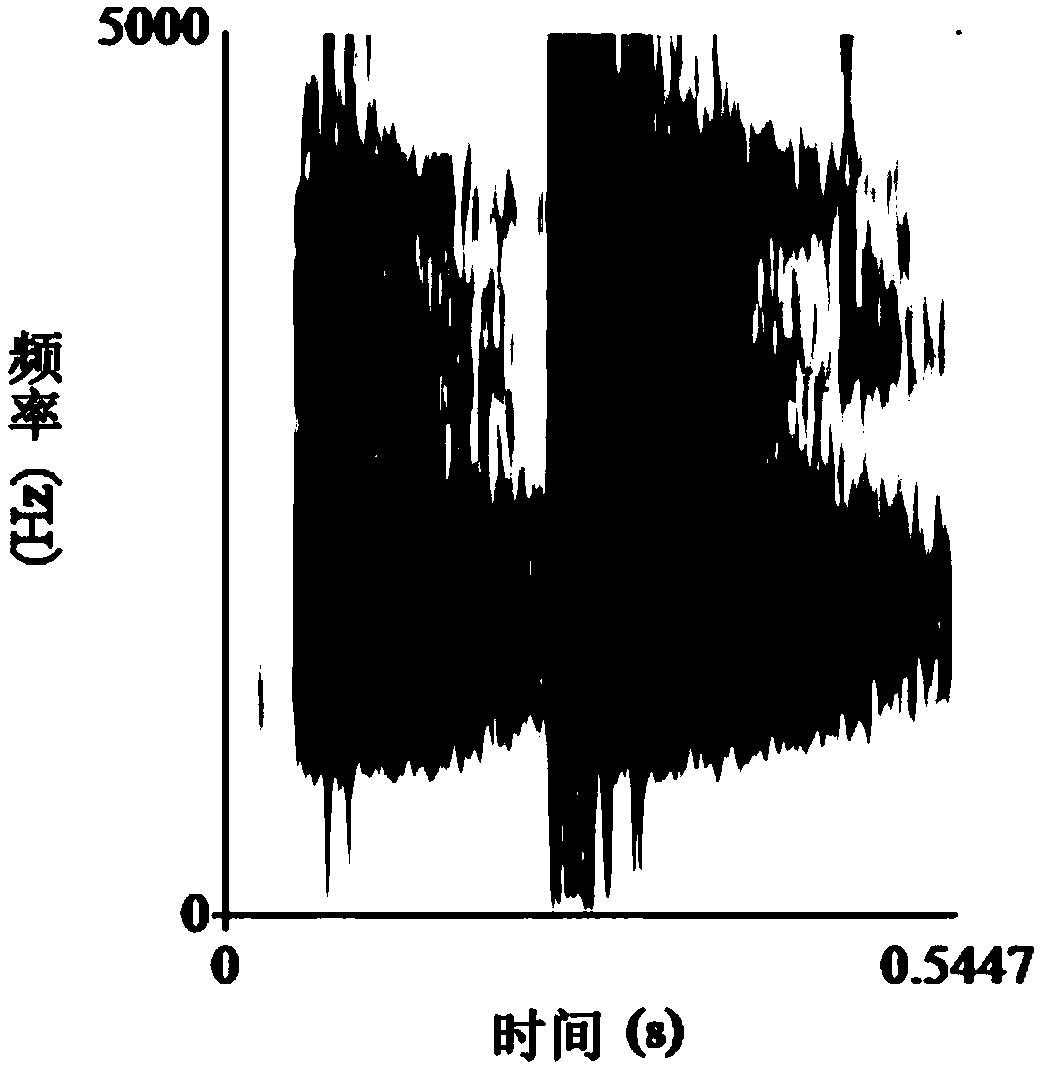 A method for measuring the acoustic communication ability of the black-spotted frog