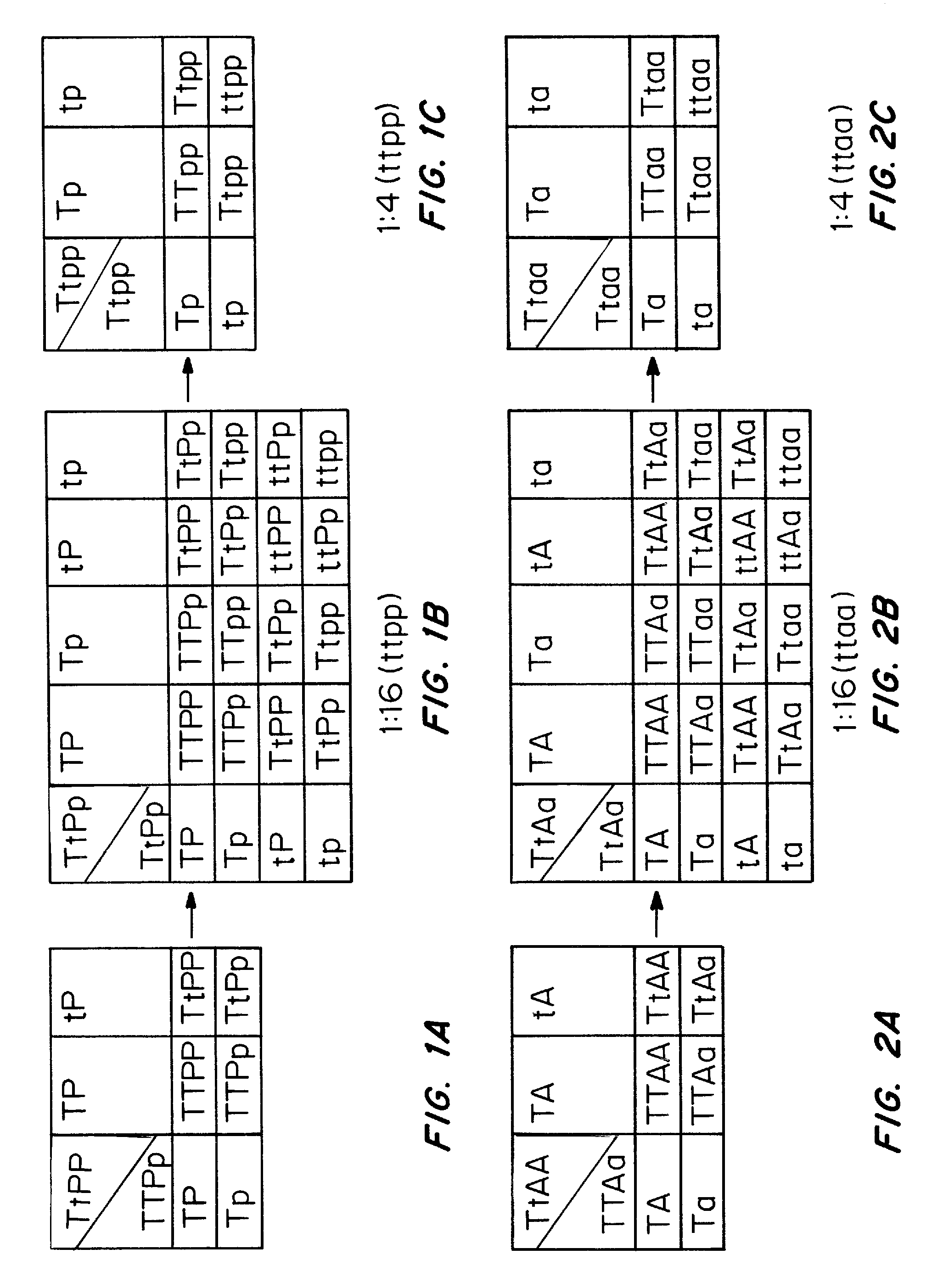 Compositions and methods for modulating bone mineral deposition