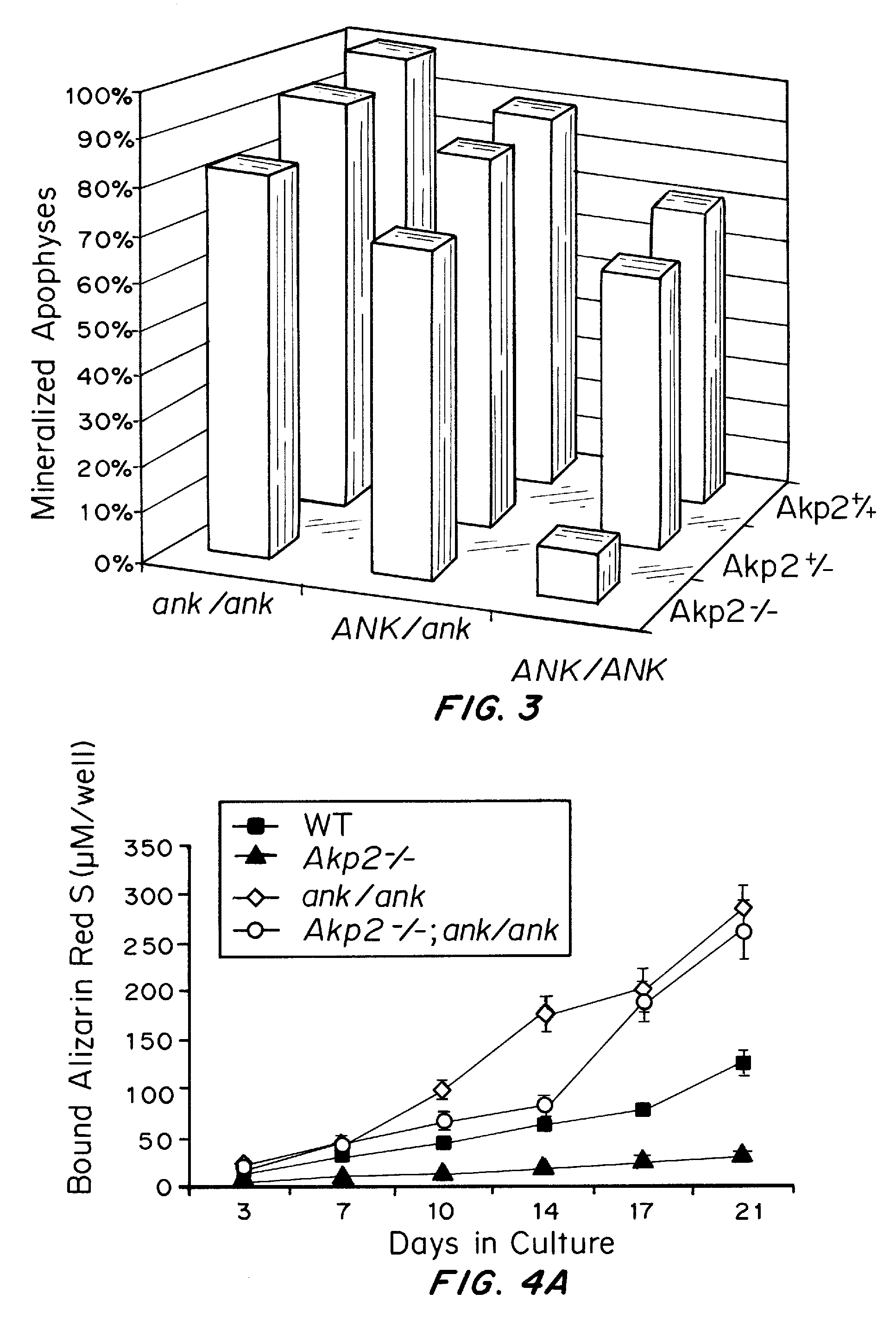 Compositions and methods for modulating bone mineral deposition