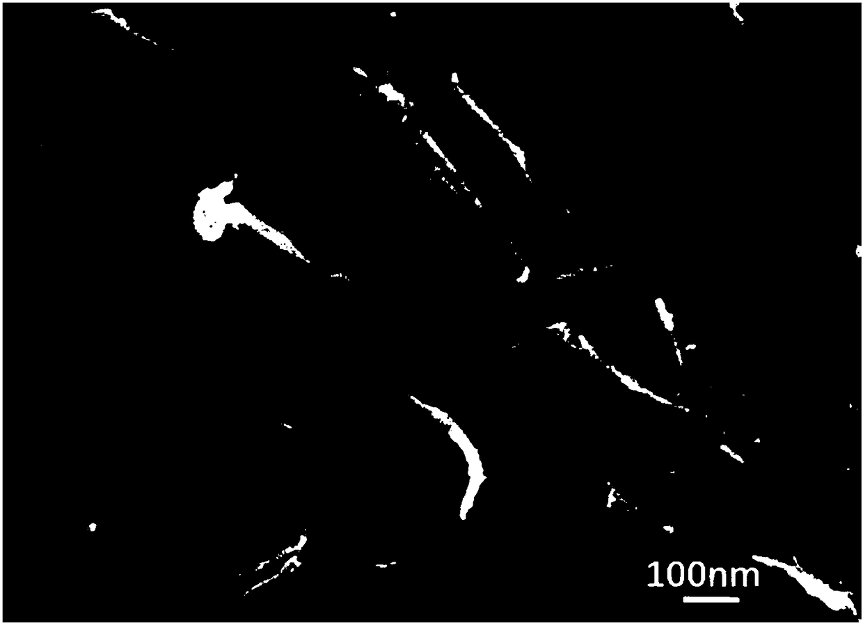 PPTA paper using aramid nanofiber for self-reinforcement and preparation method thereof