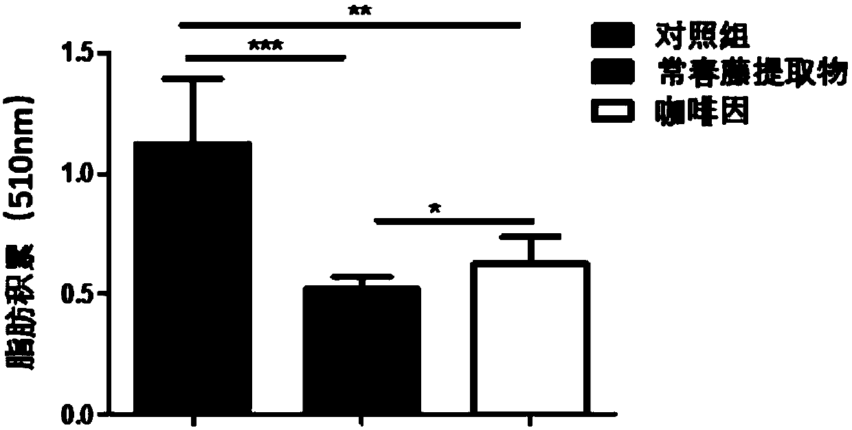 Application of cyclic adenosine monophosphate in preparation of fat reducing and weight losing product for external use