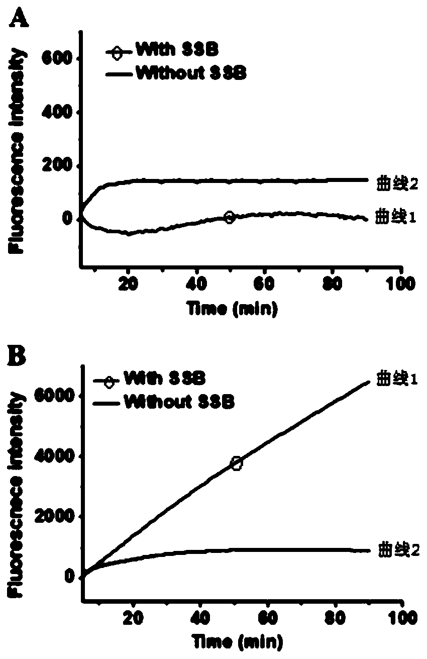 Method for flexibly detecting DNA through exonuclease III assisted multiple circulation amplification