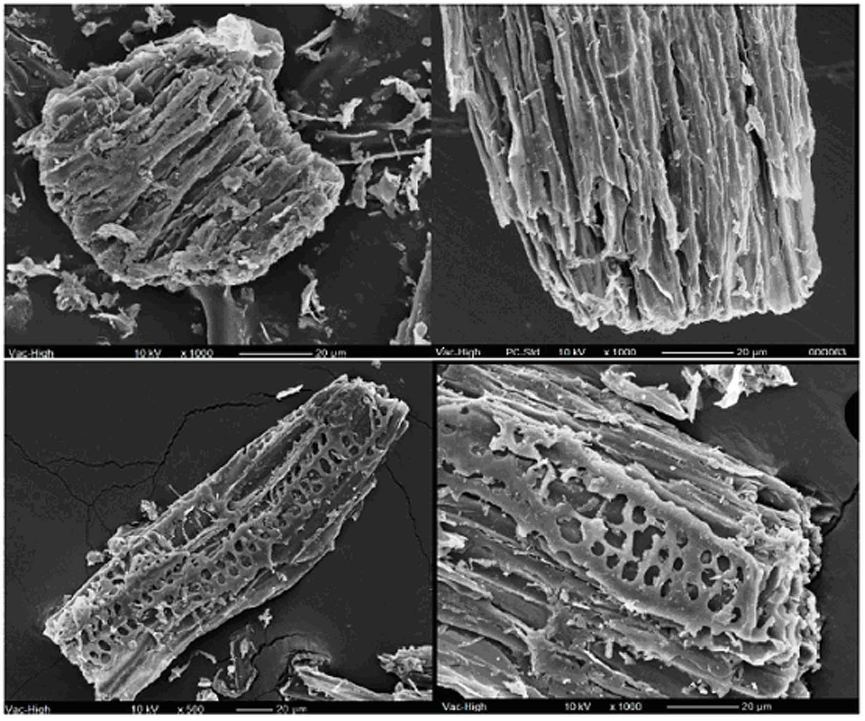 Method for preparing active carbon from ramie stalks