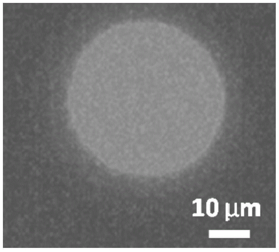 A preparation method of giant magnetically responsive drug-loaded vesicles with targeting function