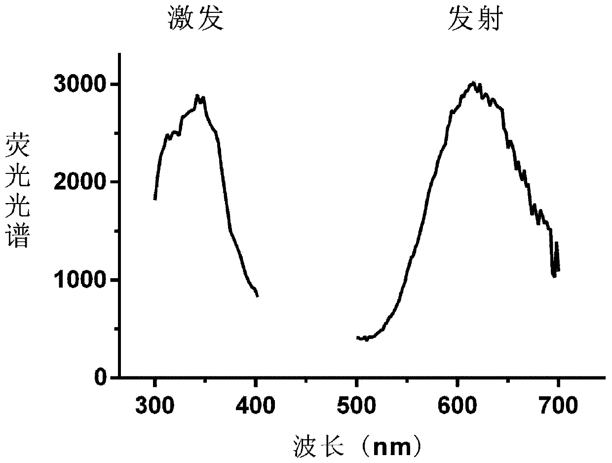 Application of microRNA induced open type DNA fluorescent nano-robot in tumors and construction method of microRNA induced open type DNA fluorescent nano-robot