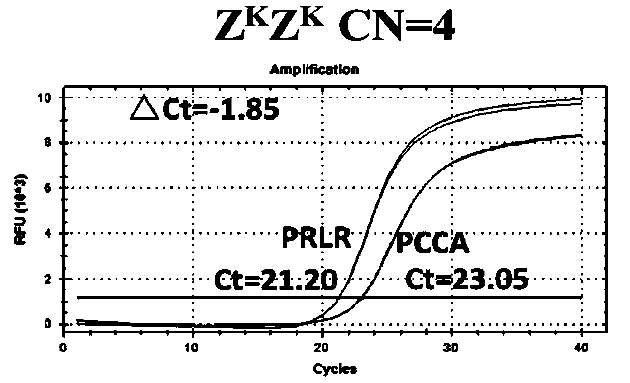 Application and method of a kind of prlr gene